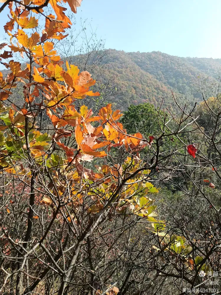 绛县紫家峪印象